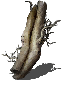 fragrant_branch_of_yore.png